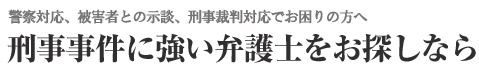 刑事事件・逮捕に強い弁護士
