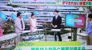 nojiriB0610の3.png